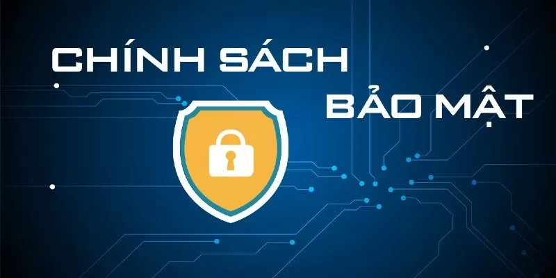 Các điều khoản bảo mật dữ liệu Media của của người chơi