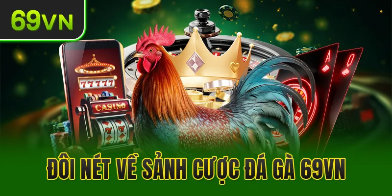 Tìm hiểu thông tin cơ bản Đá gà 69VN
